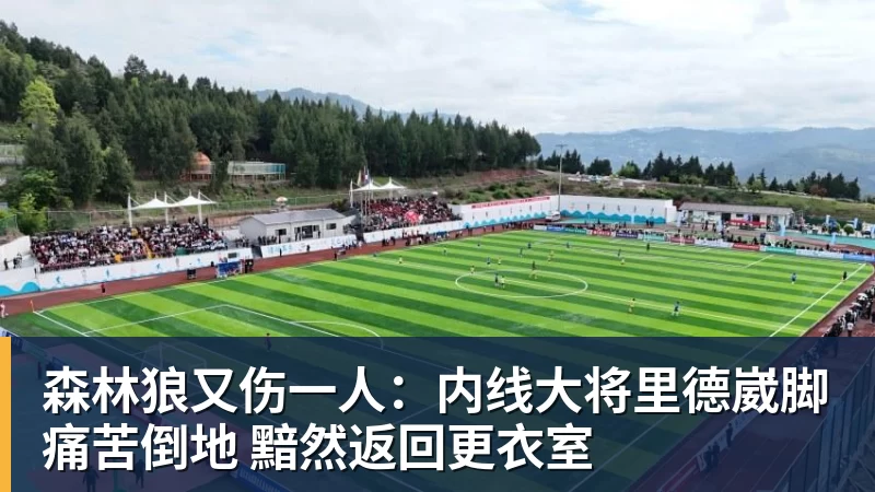 森林狼又伤一人：内线大将里德崴脚痛苦倒地 黯然返回更衣室