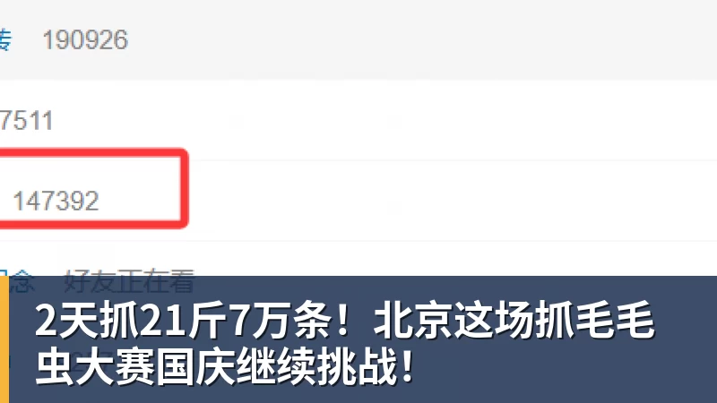 2天抓21斤7万条！北京这场抓毛毛虫大赛国庆继续挑战！